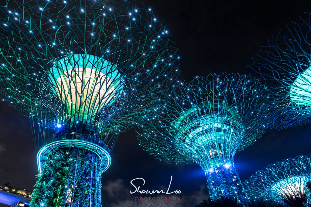 Garden By The bay, Singapore | Super Trees